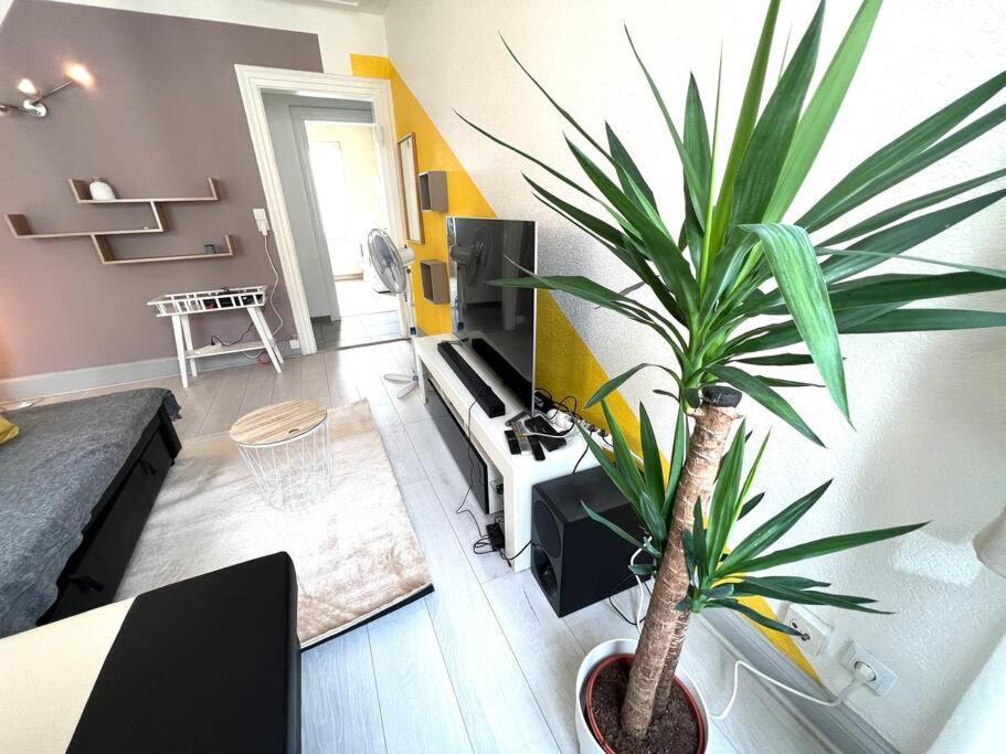 Lumiere Secrete Mulhouse Centre Parking Tram Apartment Exterior photo